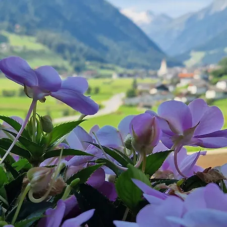 Apartment Klein&fein *