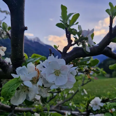 Klein&fein * Neustift im Stubaital