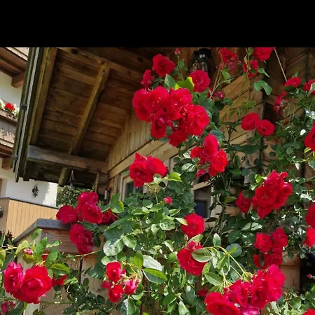 Klein&fein Apartment Neustift im Stubaital