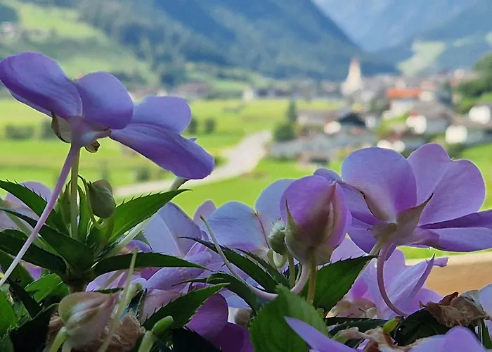 아파트 Klein&fein *