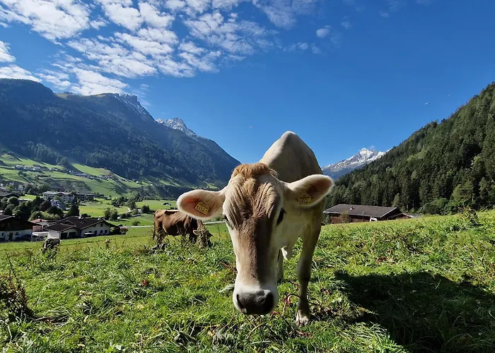 Klein&fein Appartement Neustift im Stubaital