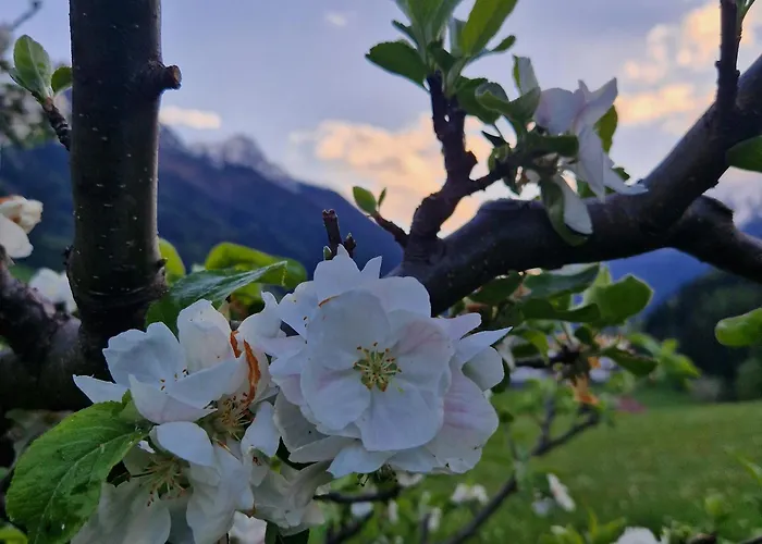 Klein&fein * 노이스티프트임스튀바이탈