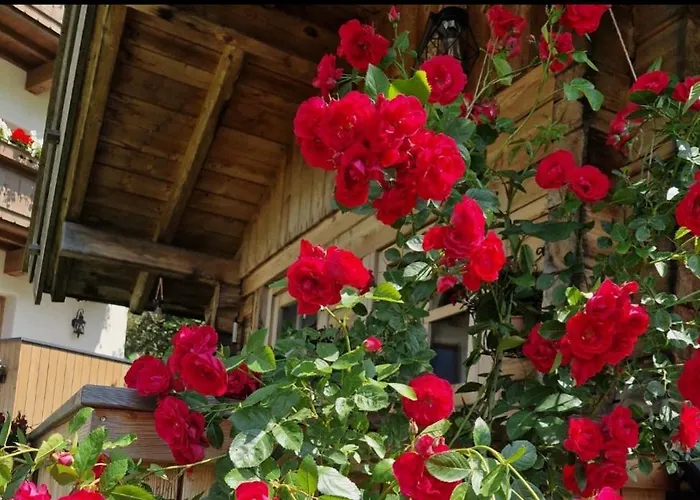 Klein&fein Appartement Neustift im Stubaital