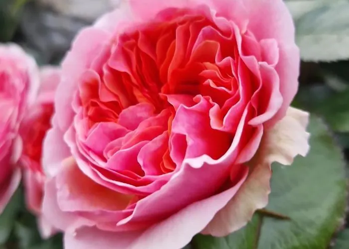 Klein&fein * Neustift im Stubaital