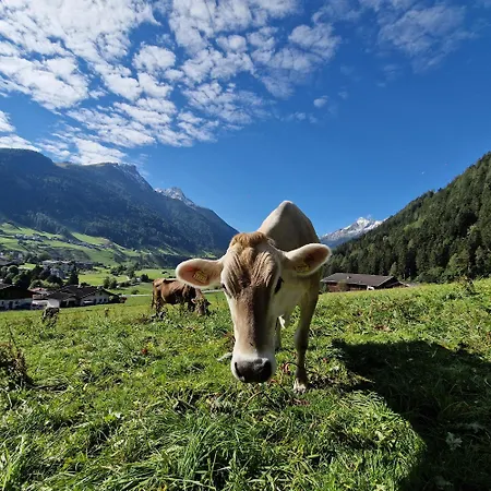 Klein&fein Apartmán Neustift im Stubaital